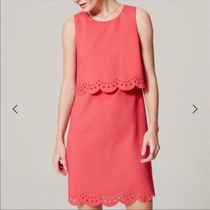 Loft Pink Scallop Overlay Dress